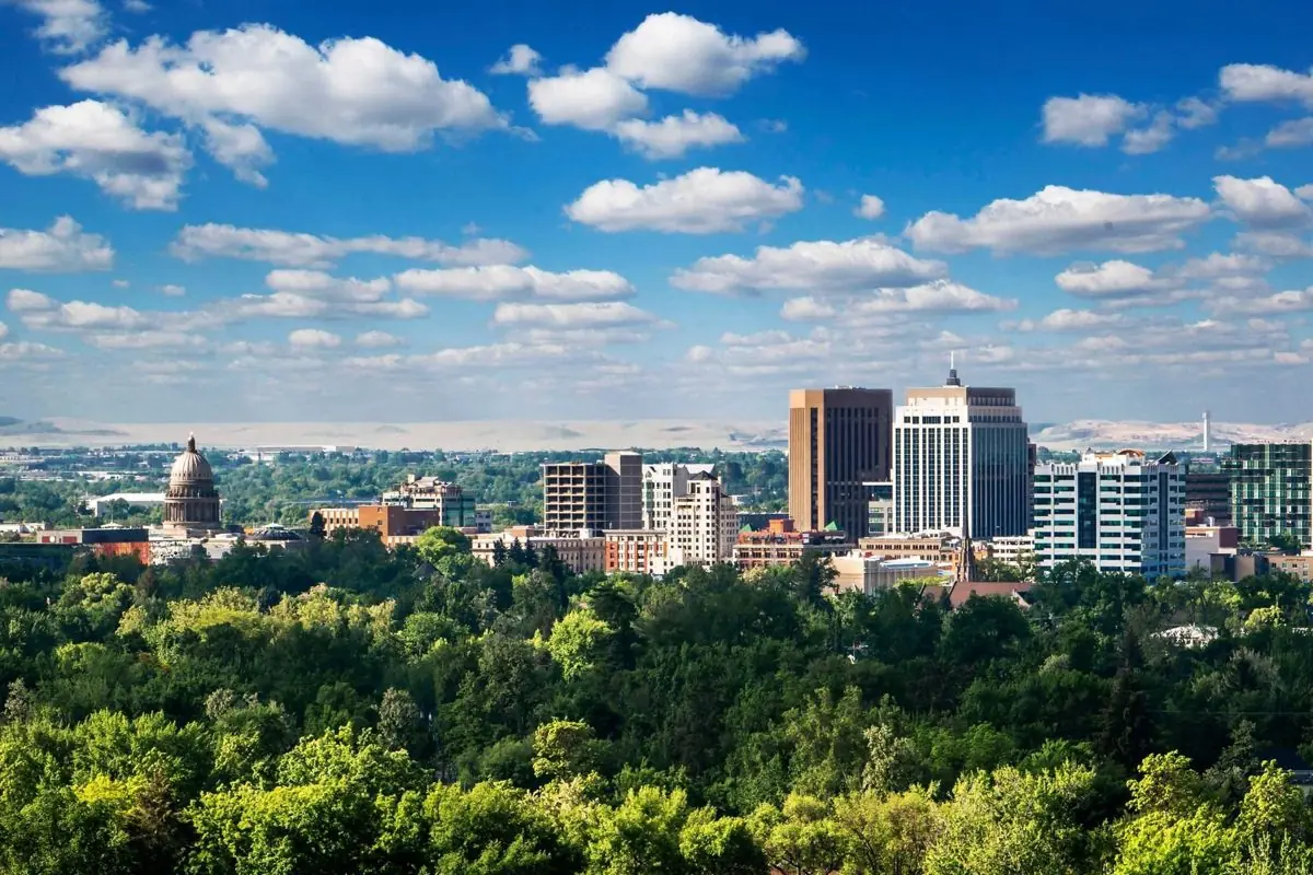 Downtown Boise and the Capitol dome above a green tree canopy