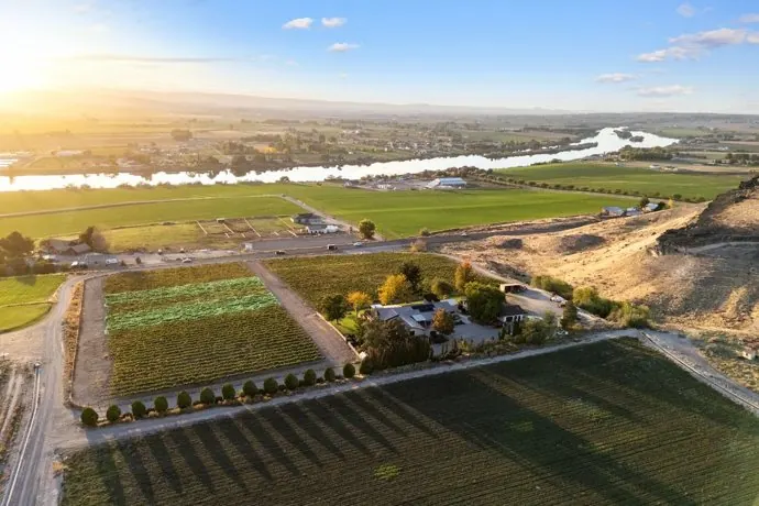 Aerial view of vineyards and acreage along the Snake River at sunset