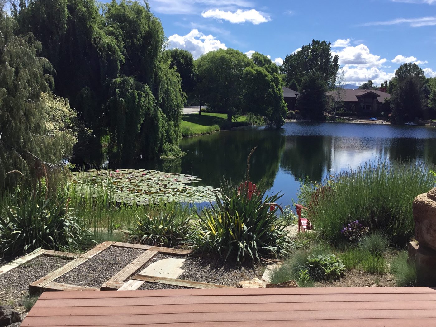 Garden patio with raised beds overlooking a quiet pond