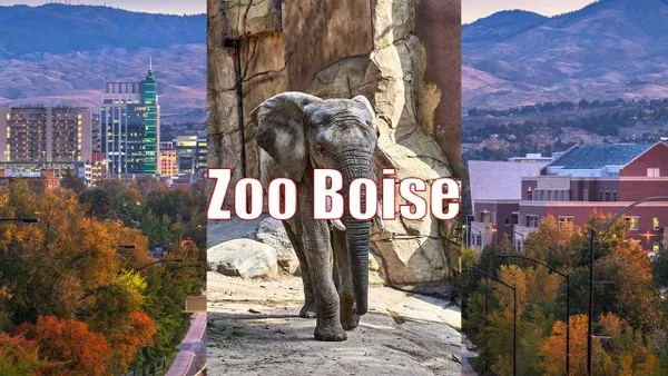 Downtown Boise in fall and an elephant at Zoo Boise, both along the Greenbelt